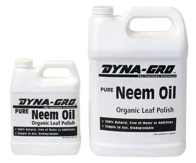 Neem Oil API SN Plus