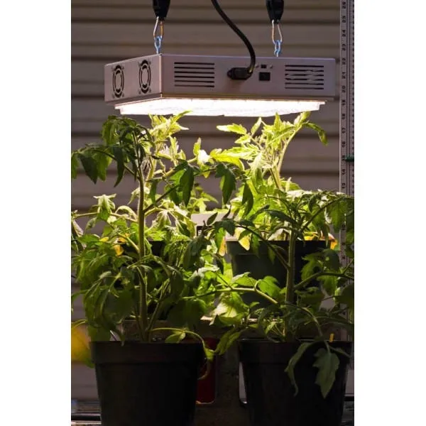 Apache Tech AT200 - Luces LED Blanco/Rojo 3:2 | Alta Luminosidad | Resistente al Agua