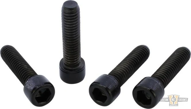 Front Fork Brackets Screw Kits Gloss Ónix Powder Coated Harley-Davidson