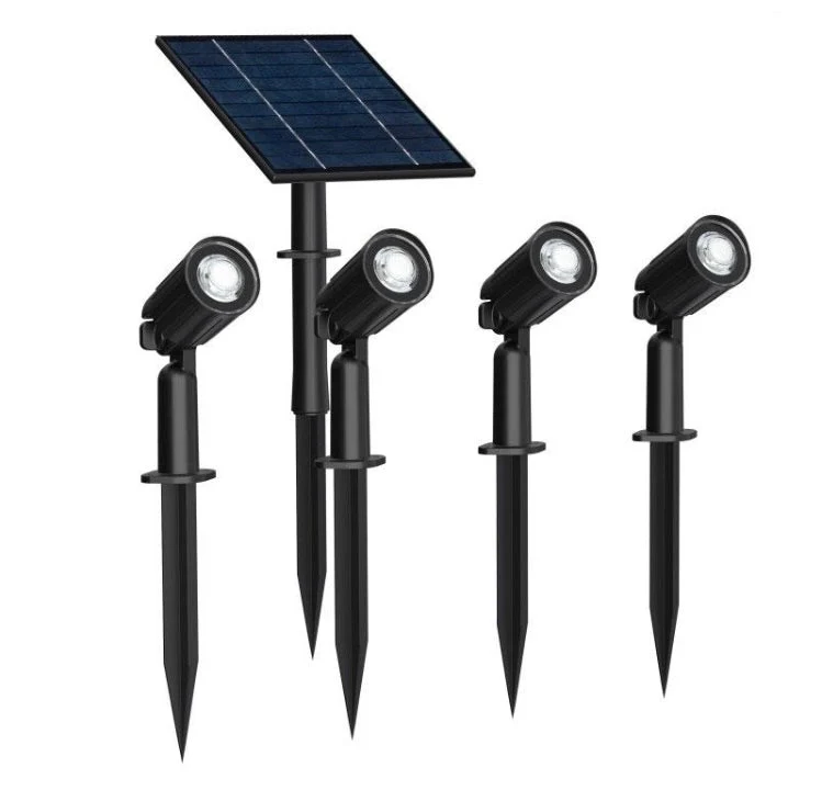 Set de Detallado Focus solarjardí piqueta (kit)