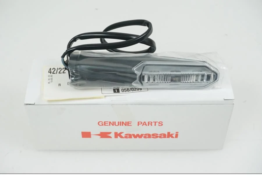 Intermitentes LED Kawasaki