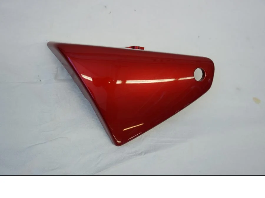 Panel lateral Kawasaki