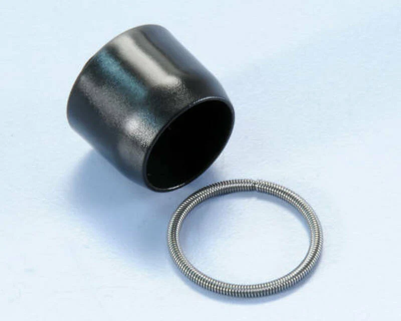 POLINI VARIATOR SPRING