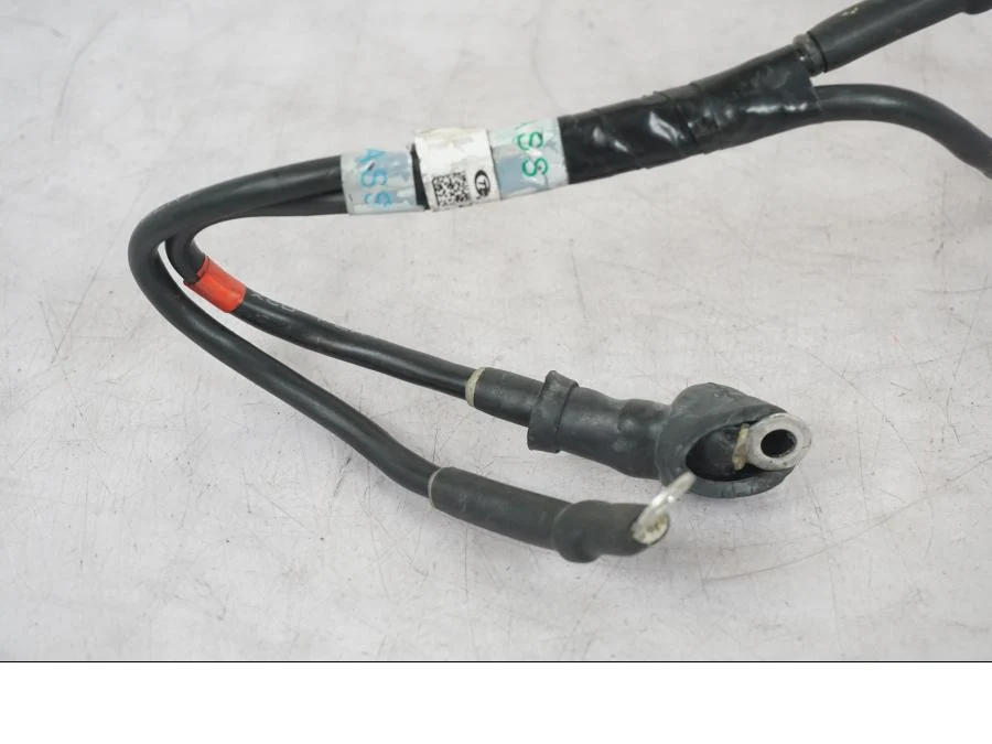 Cableado Triumph