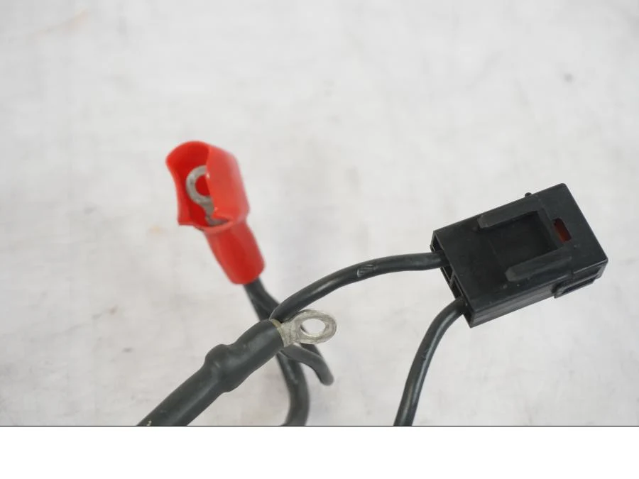 Cableado Triumph