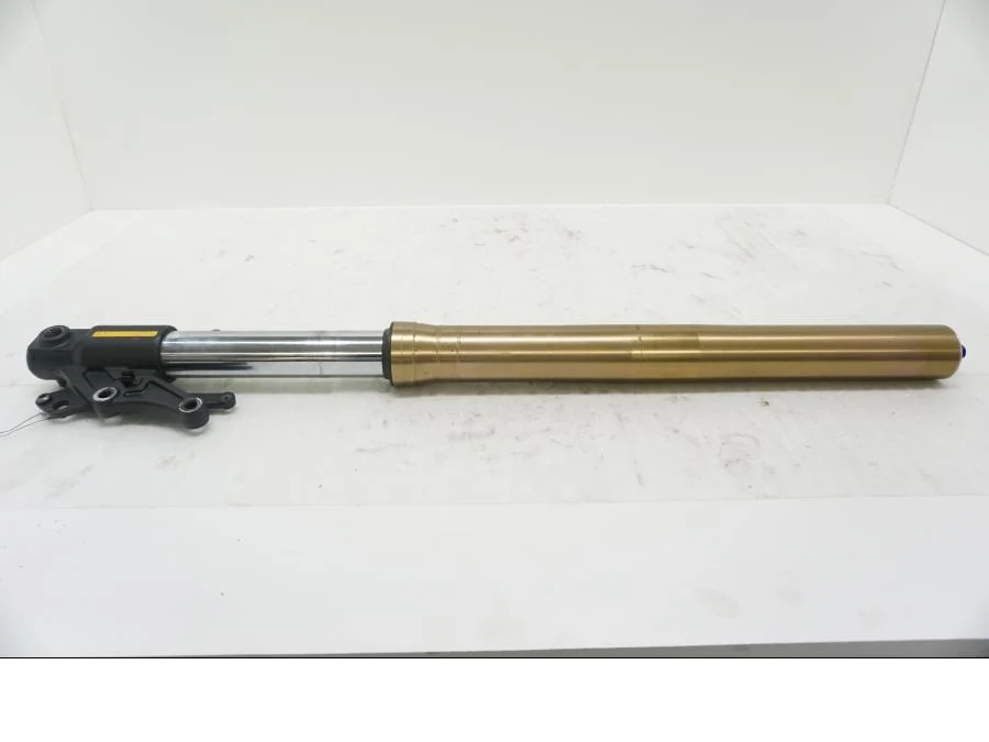 Gaffelben Triumph